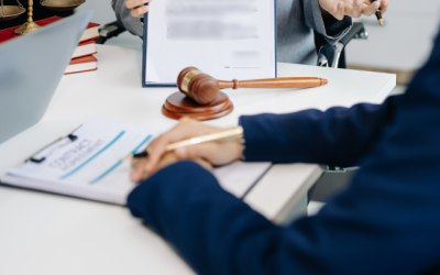 Ley de amnistía y convivencia democrática