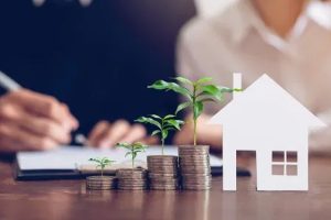 Reporte de la Reforma a la Ley del Impuesto a los Grandes Patrimonios y Providencia del SENIAT para la Determinación del Valor de los Activos.